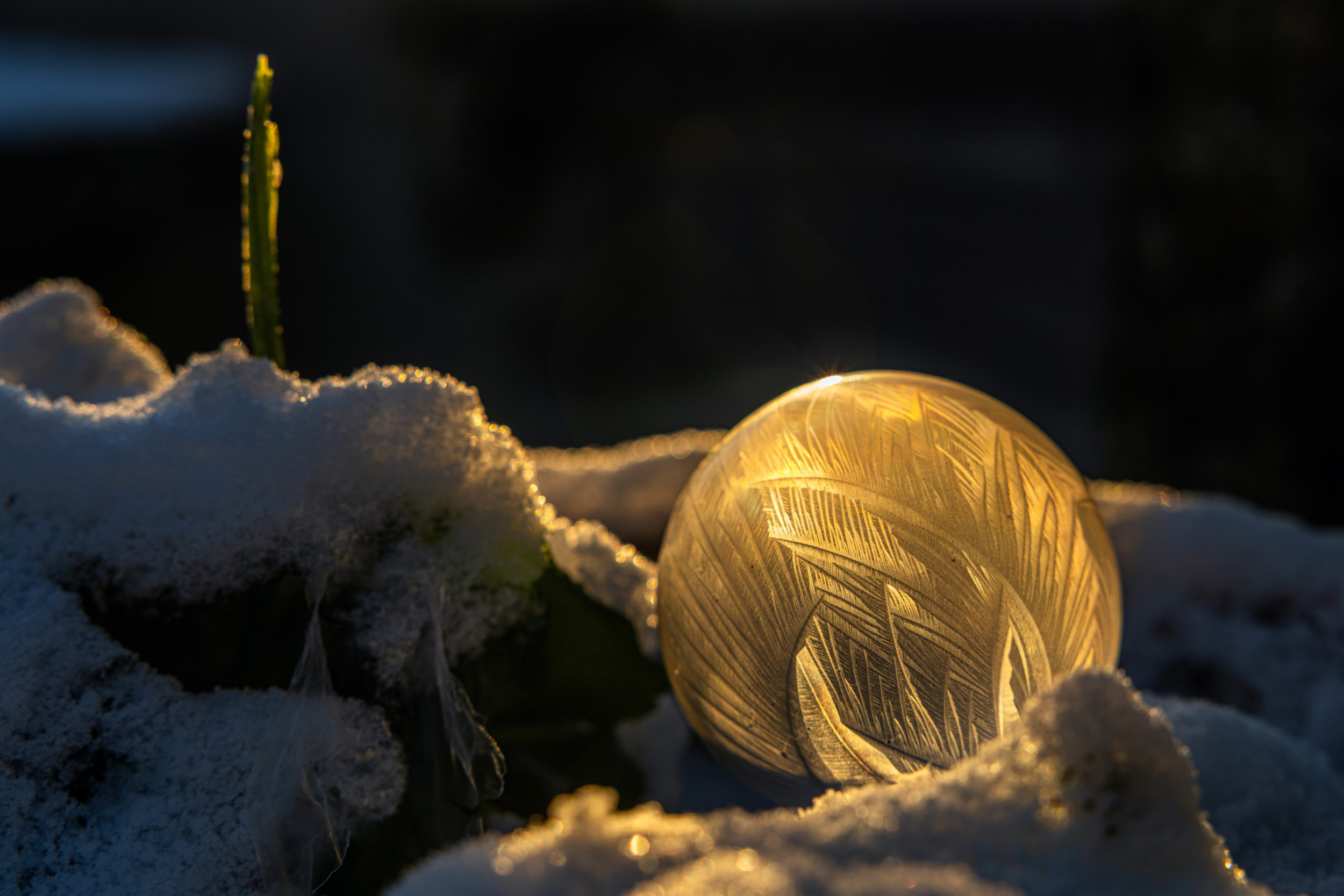 morning light by Urs Zimmermann