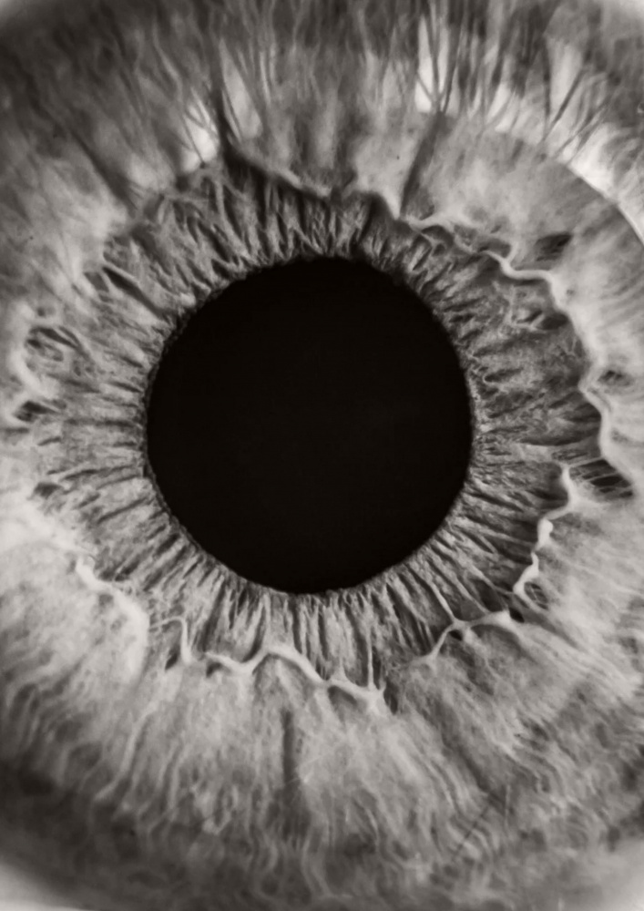 Intricate Human Eye by Marianne Bassil — canvas wall art