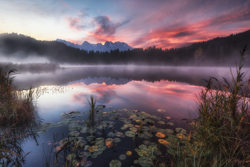 Pink Sunset Lake Reflections by Tom Meier — canvas wall art
