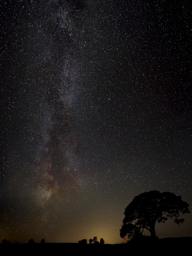 Milky Way Over Lone Tree by Kaspars Kurcens — canvas wall art