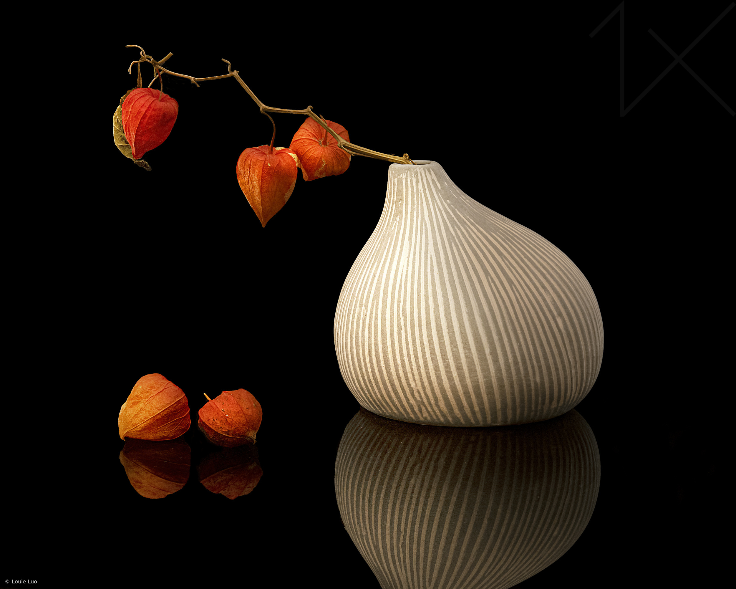Physalis