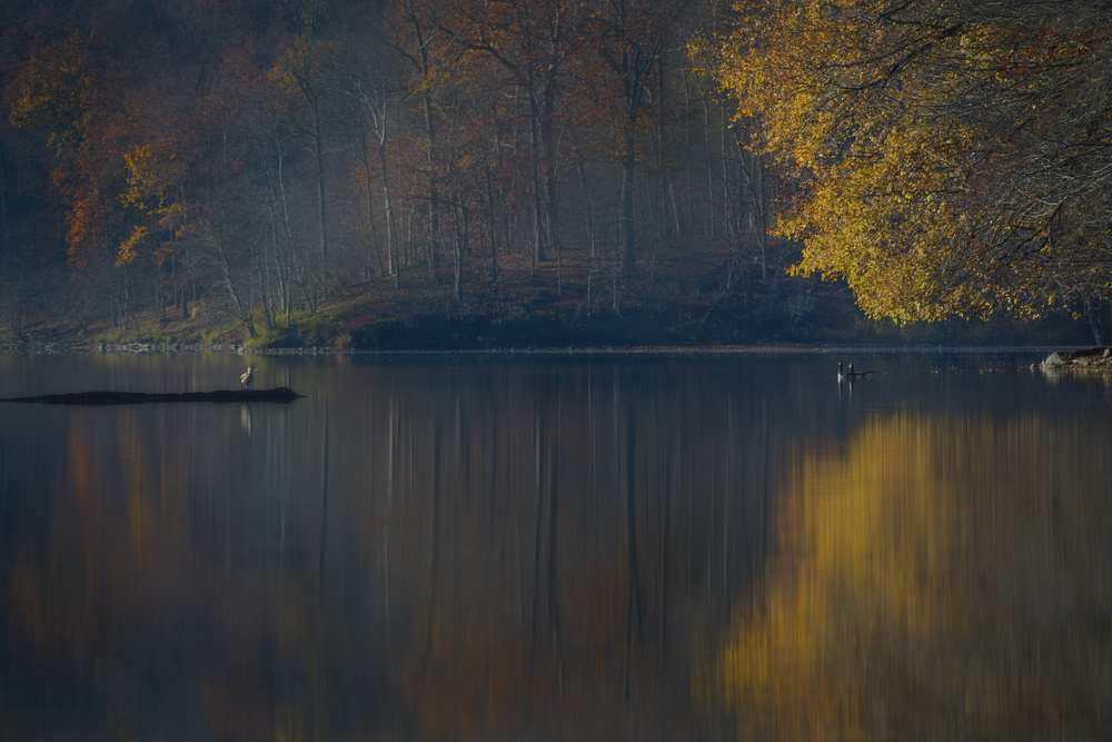 Golden Autumn Lake Reflections by James S. Chia — canvas wall art