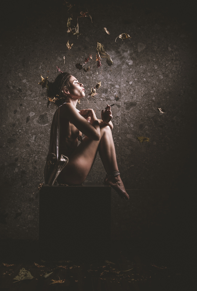 Contemplative Ballet Muse by gNo — canvas wall art
