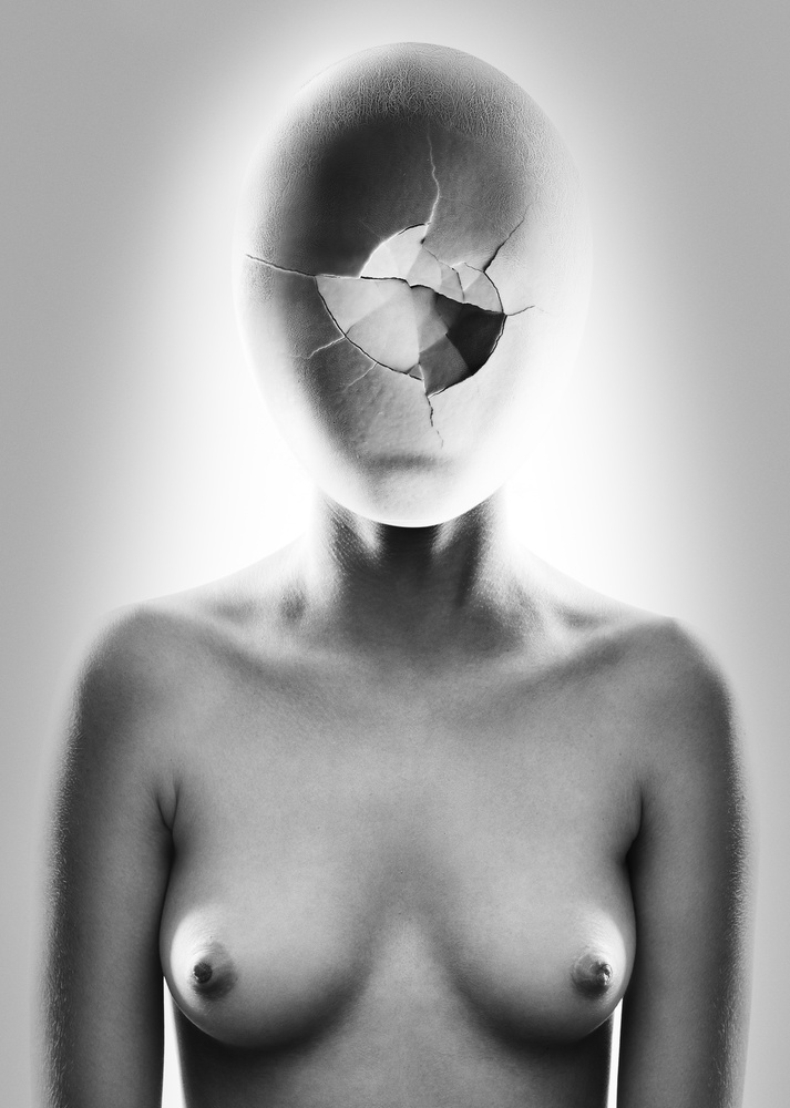 Embryonic by Jackson Carvalho — canvas wall art