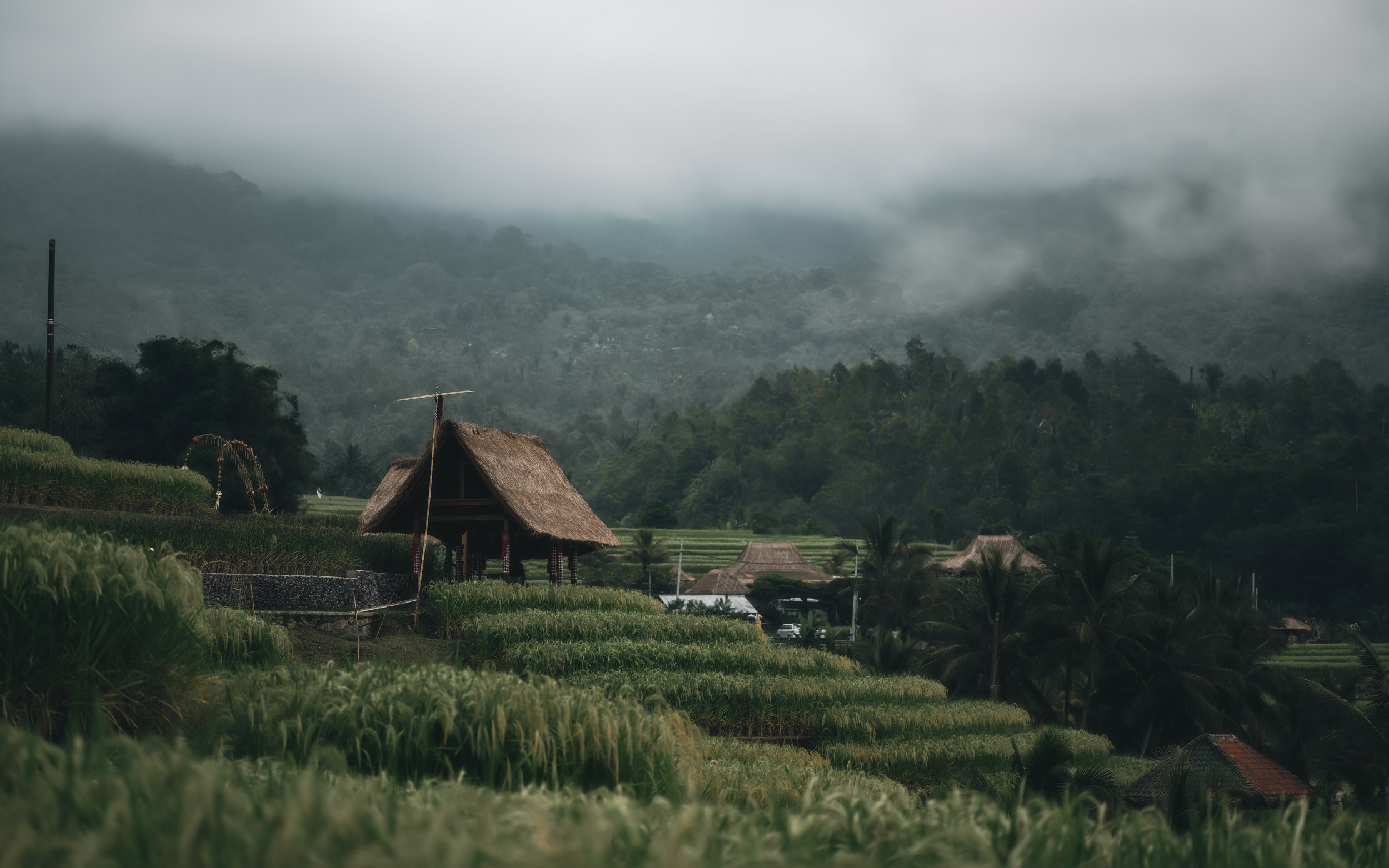 Cloudy Rice Terrace by R Suguri