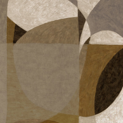 Earthy Abstract Shapes
