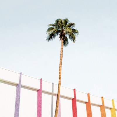 Palm Spring Colors 2