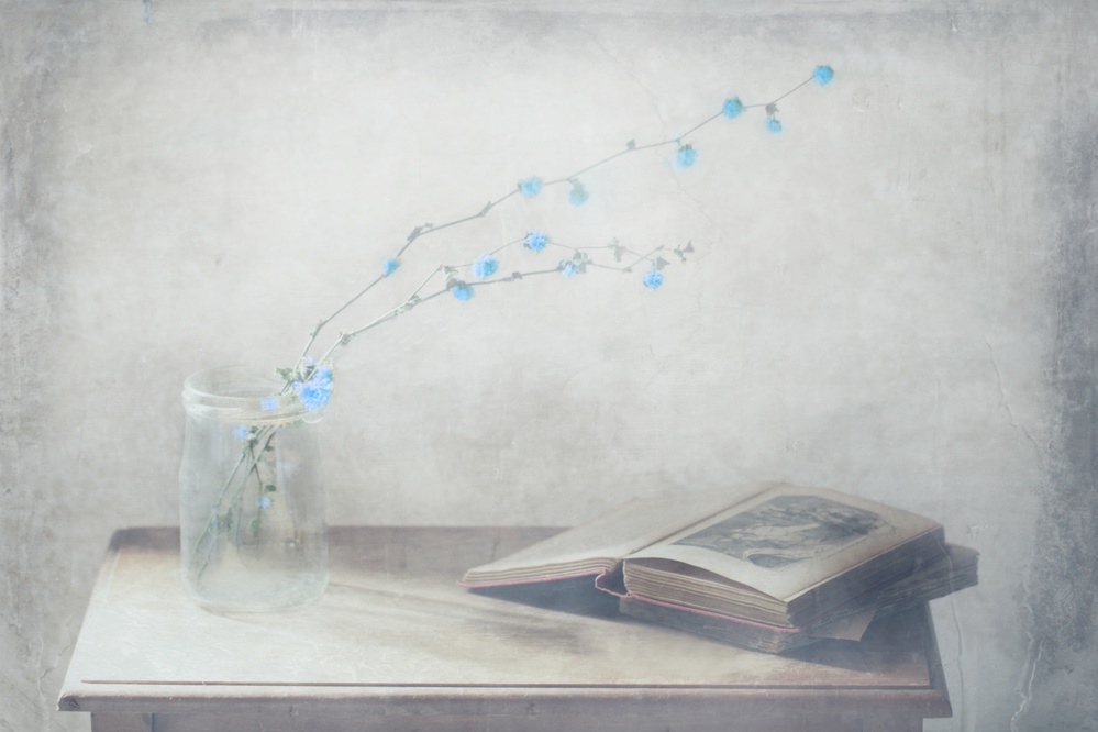 Vintage Book and Blue Flowers by Delphine Devos — canvas wall art