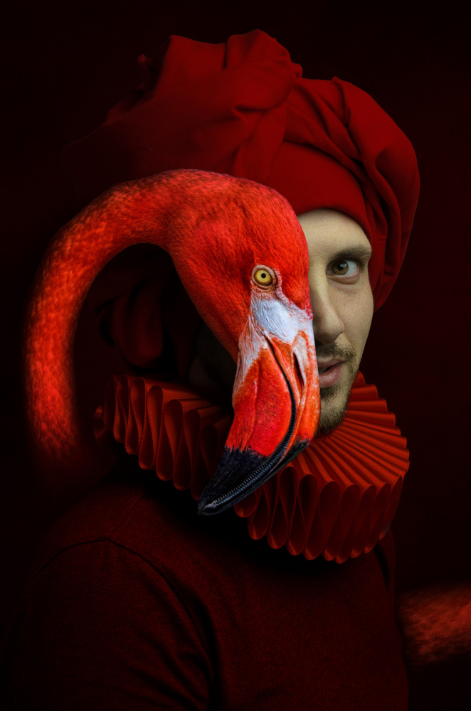 Red Flamingo Man by Paul Adrian Chis — canvas wall art