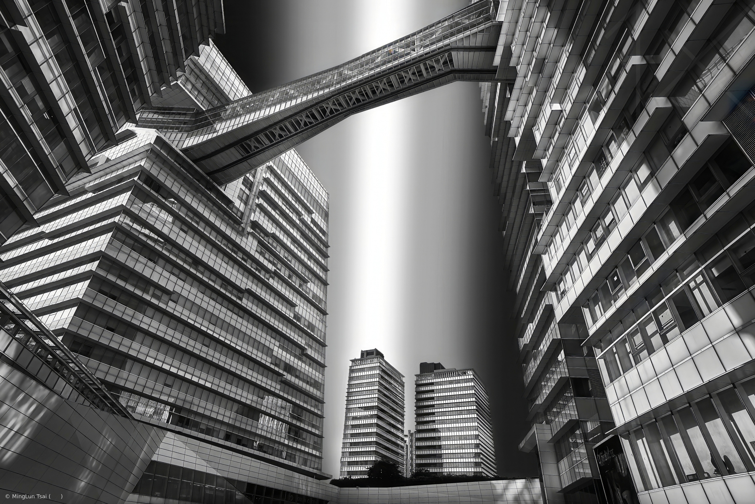Steel Canopy: The Dimension of Connection