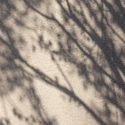 Abstract Tree Shadows
