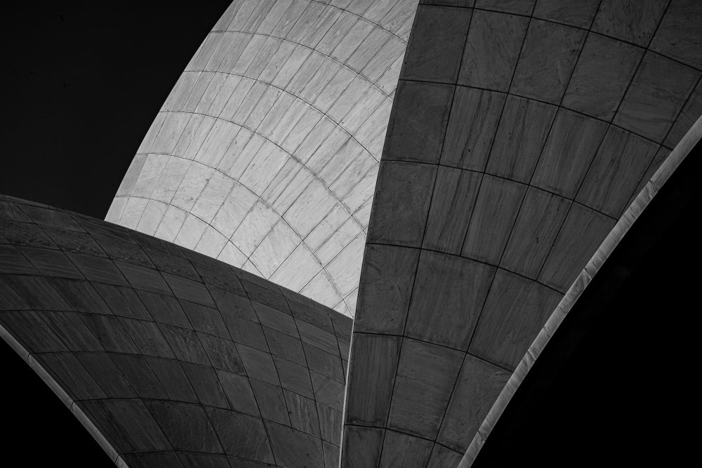 Modern Geometric Curves by Shobhit Chawla — canvas wall art