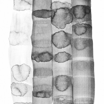 Black And White Watercolor Design