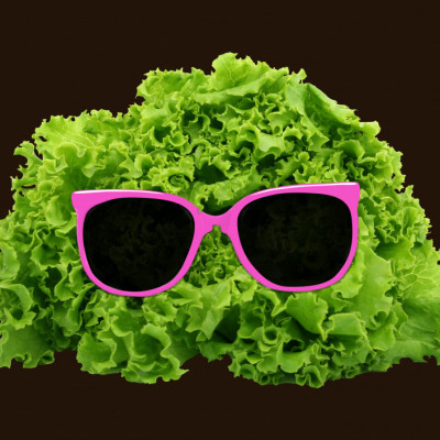 Mr Salad