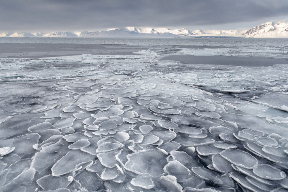 Pancake Ice by Susanne Landolt — canvas wall art