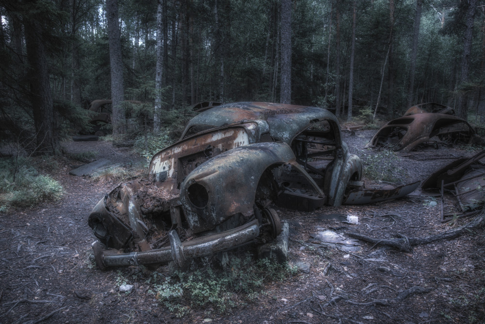 Old Rusted Cars Forest by Benny Pettersson — canvas wall art