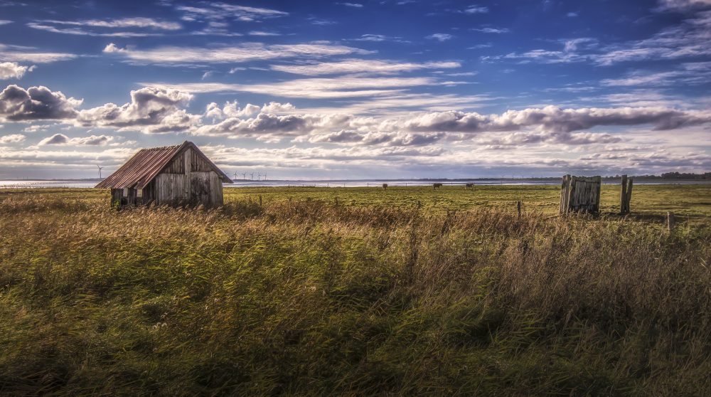 Weathered Shack Landscape by Ole Moberg Steffensen — canvas wall art