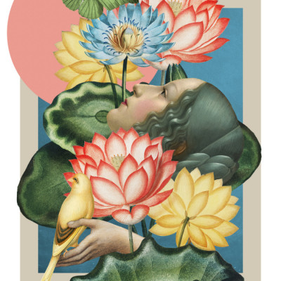 Species Plantarum II