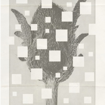 The art of botanic No.3