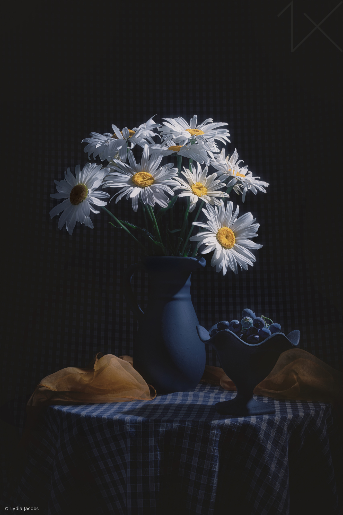 Daisy and Blueberry