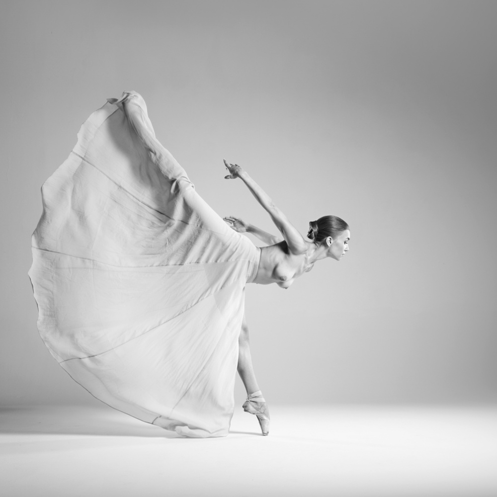 Graceful Ballet Movement by Arkadiusz Branicki — canvas wall art