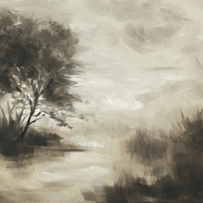 Misty Solitary Tree