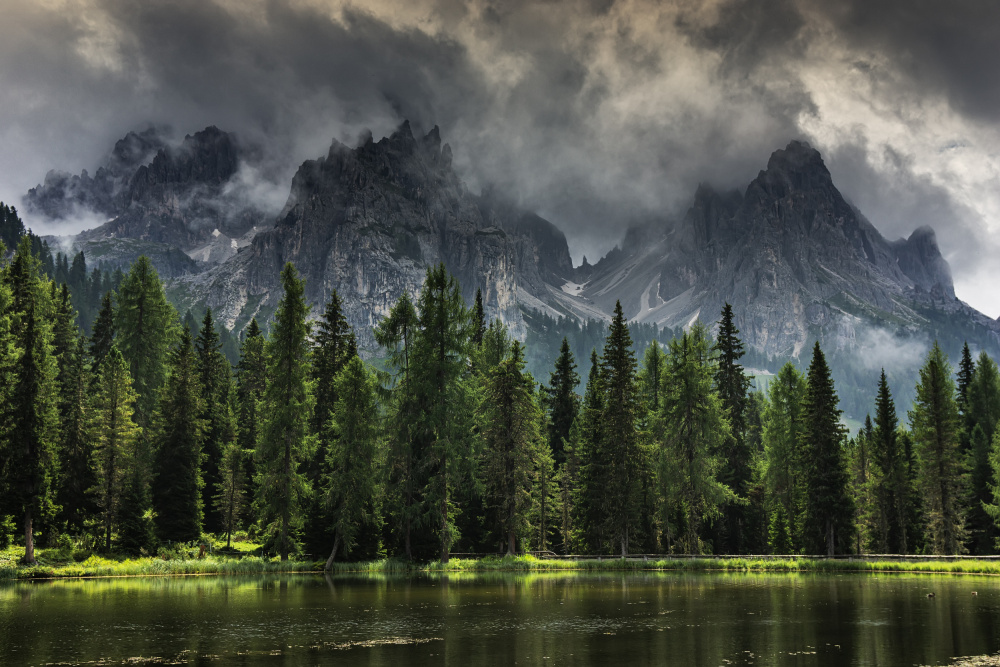 Misty Alpine Lake Forest by mihai ian nedelcu — canvas wall art