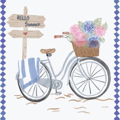 Hello Summer Bike