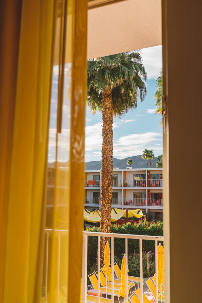 Palm Tree Resort View by Bethany Young — canvas wall art