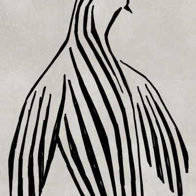 Elegant Striped Dove