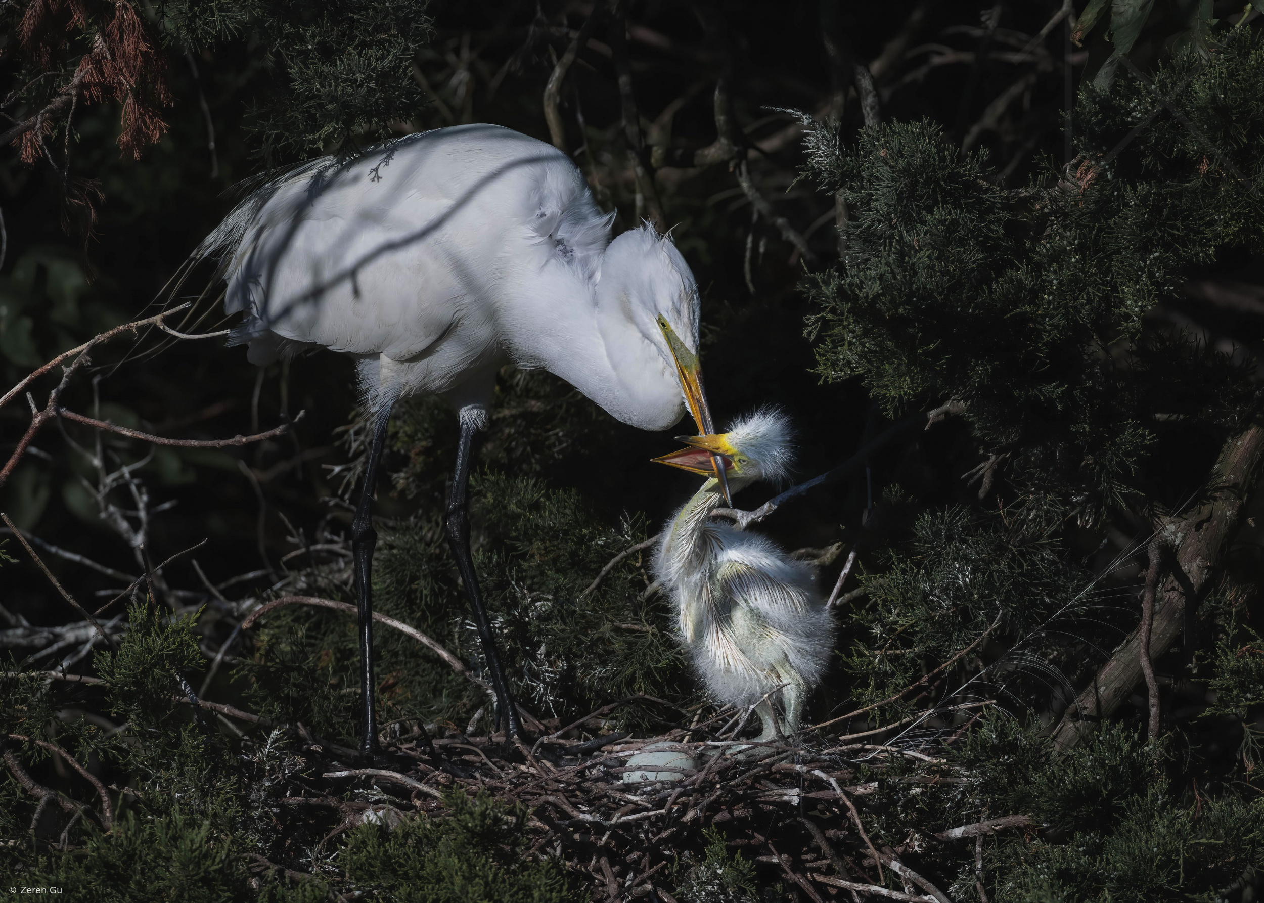 Tender Exchange