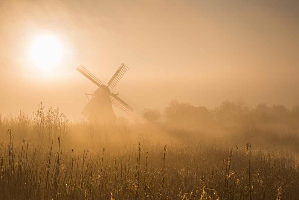 Misty Morning Windmill Glow by Ton Drijfhamer — canvas wall art