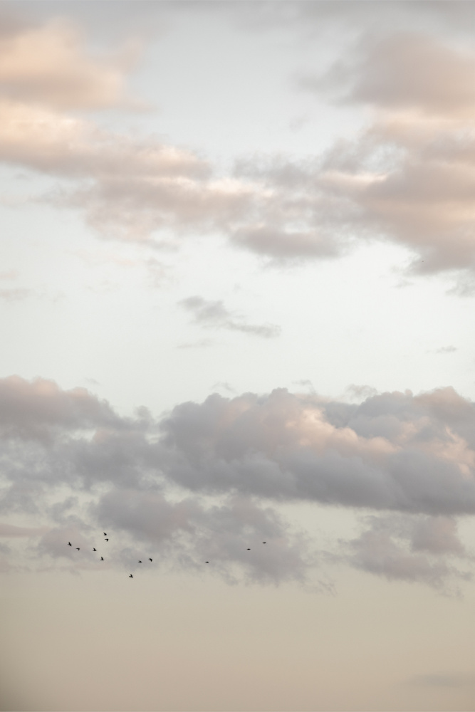 Pastel Sky 13 by Mareike Böhmer — canvas wall art