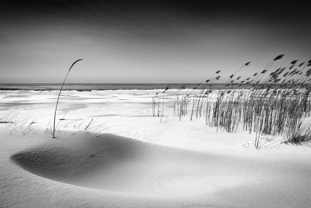 Snowy Beach Serenity by Reinis Cīrulis — canvas wall art
