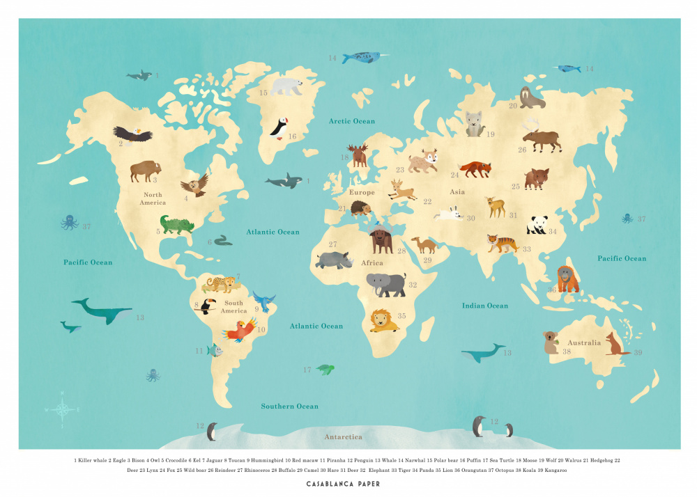 Illustrated Animal World Map by Erik Wintzell — canvas wall art