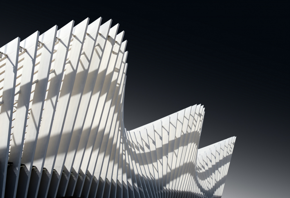 Dynamic White Curves by Karin Kilb — canvas wall art