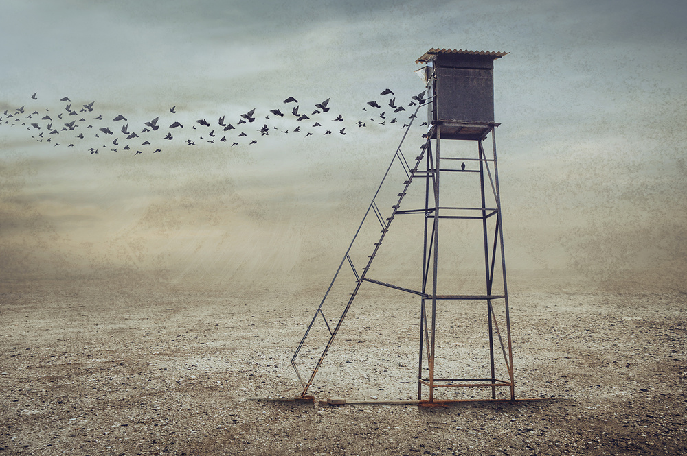 Birds Over Lone Watchtower by Sulaiman Almawash — canvas wall art