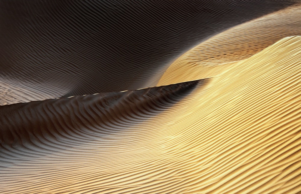 Golden Desert Dunes by Izidor Gasperlin — canvas wall art
