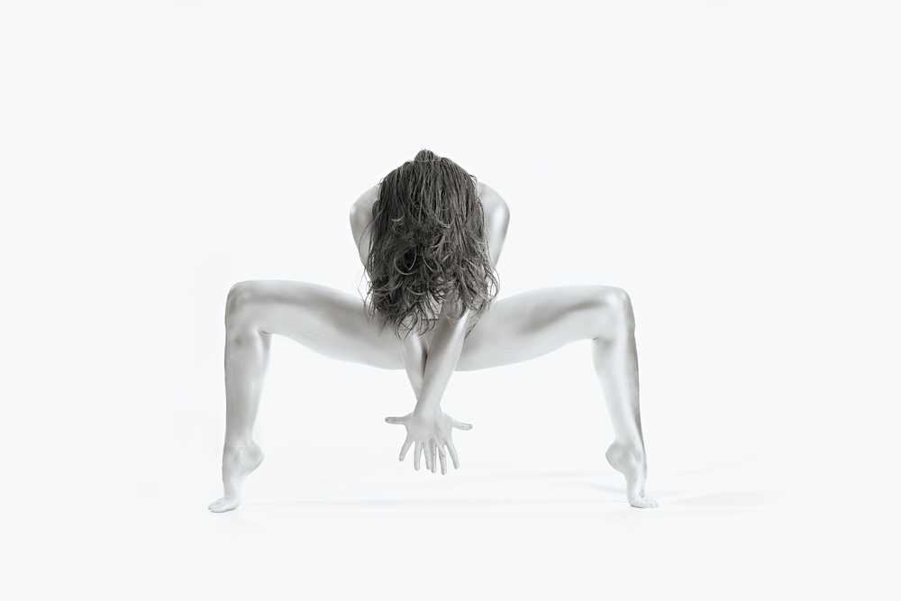 Graceful Dance Form by Howard Ashton-Jones — canvas wall art
