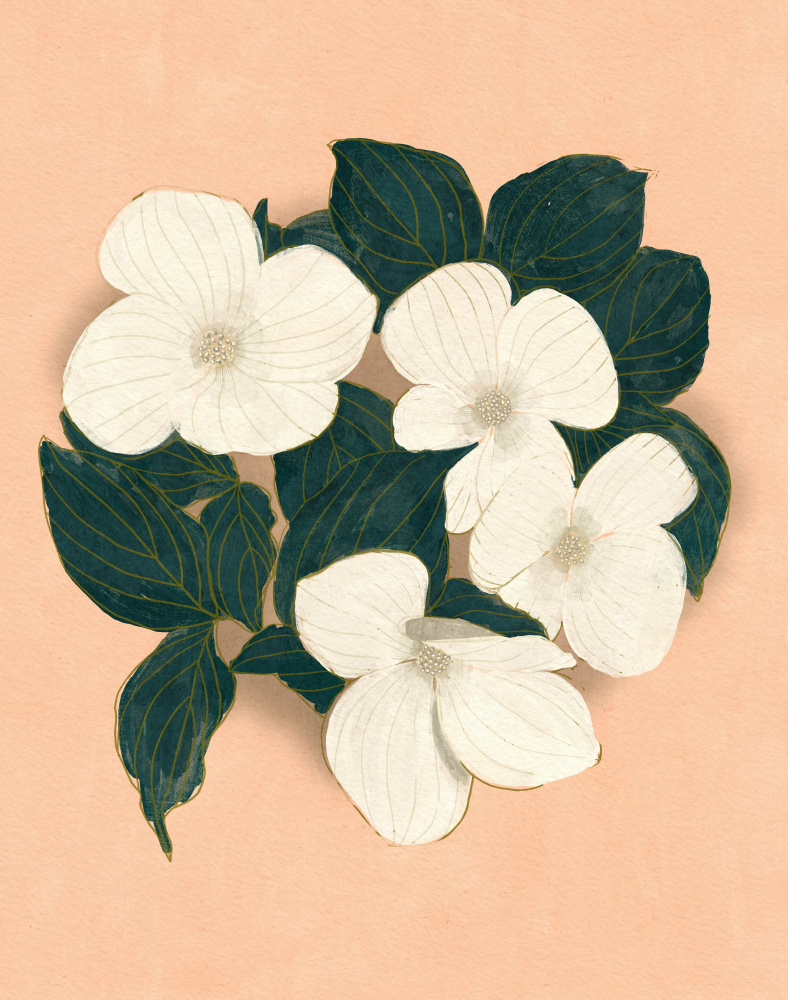Dogwoods on Pink by Katie O'Shea — canvas wall art