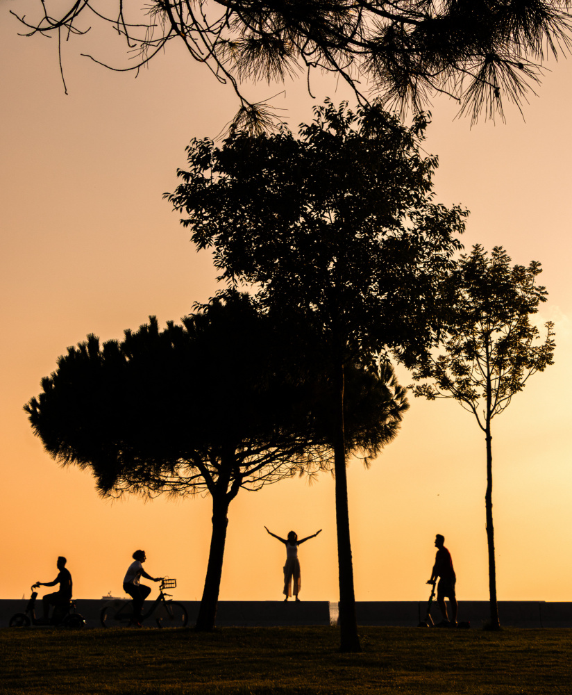 Golden Hour Park Life by Doruk Uysal — canvas wall art