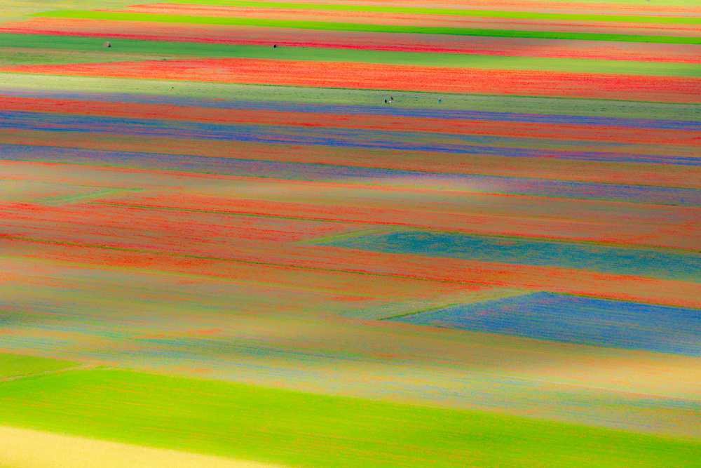 Colorful Agricultural Landscape by Massimo Baroni — canvas wall art