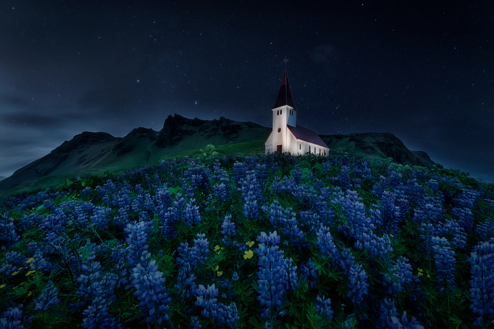 Midnight Church Blue Flowers by menghuailin — canvas wall art