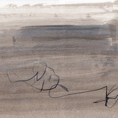 Muted Organic Abstract