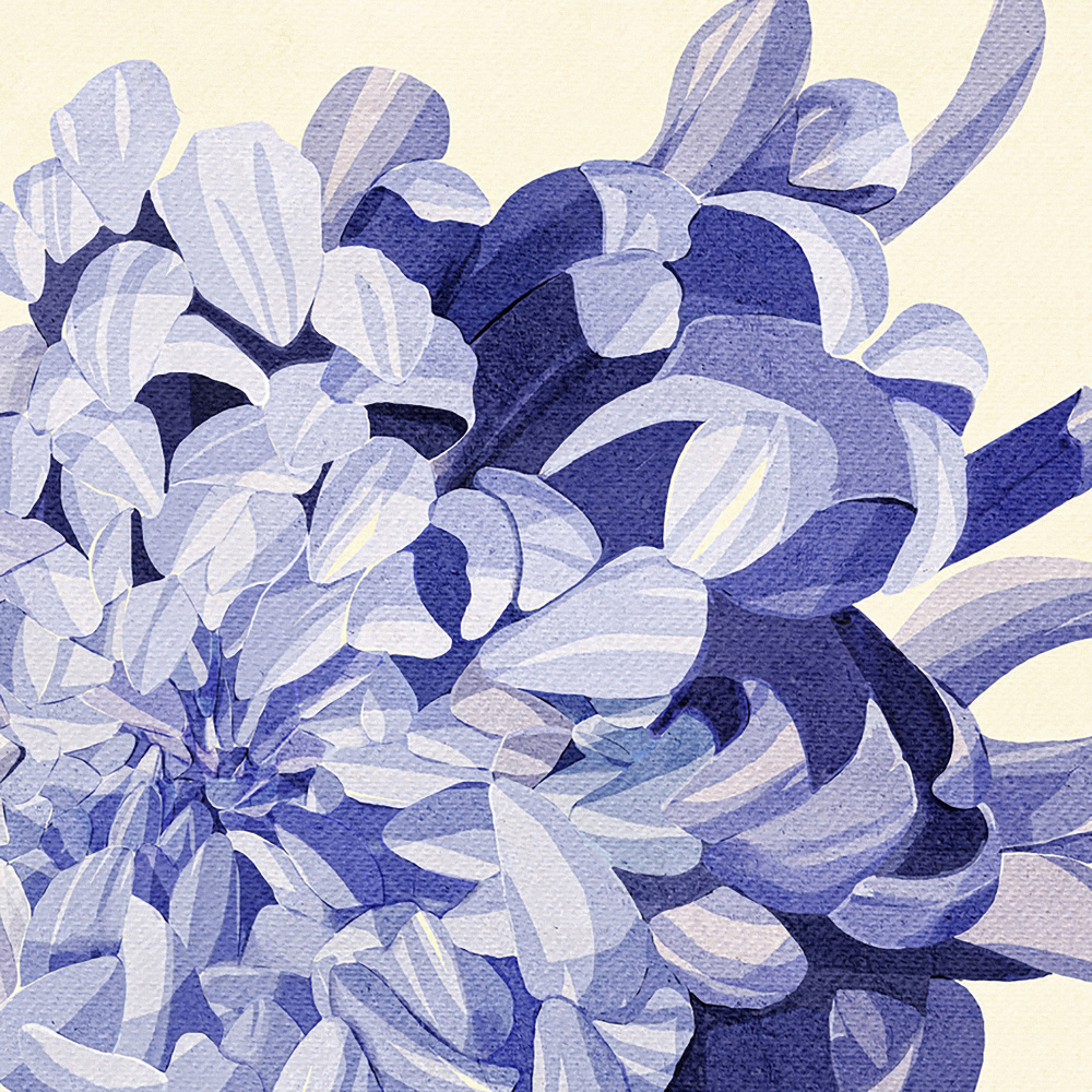 Purple Chrysanthemum by Katie O'Shea — canvas wall art