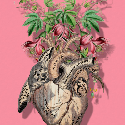 Matters of the Heart