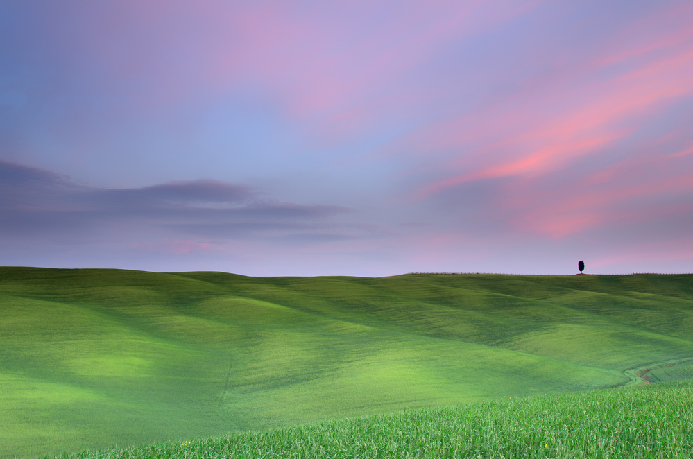 Rolling Hills Pastel Sky by Massimo Baroni — canvas wall art