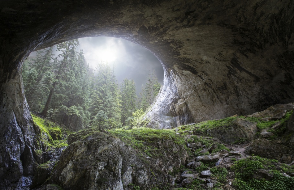 Misty Forest Cave Arch by Esmée Prexus — canvas wall art