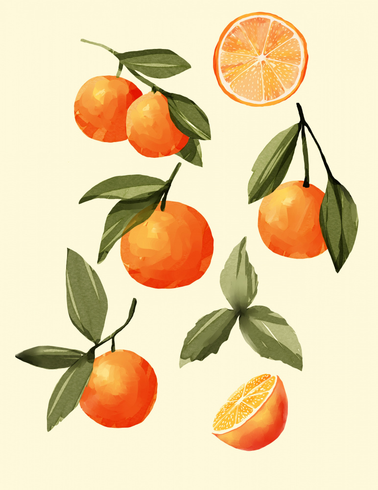 Oranges by Katie O'Shea — canvas wall art