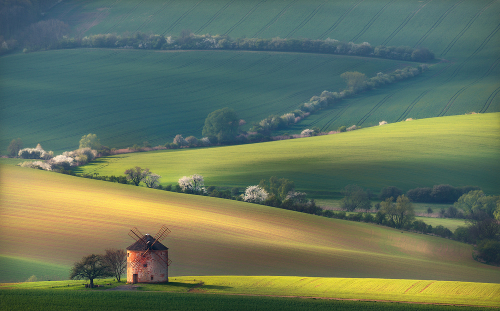 Rolling Hills Windmill by Vlad Sokolovsky — canvas wall art